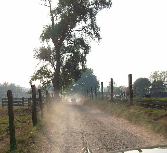 De namiddagrit verkennen we het Pajottenland en de Vlaamse Ardennen, met de Hellingen en Kasseistroken uit de Ronde van Vlaanderen (38).JPG